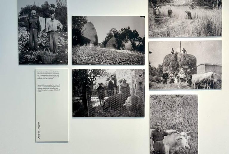FERNANDA: LE FOTO RITROVATE. Undiscovered photos of Italian rural life 1930 – 1950.